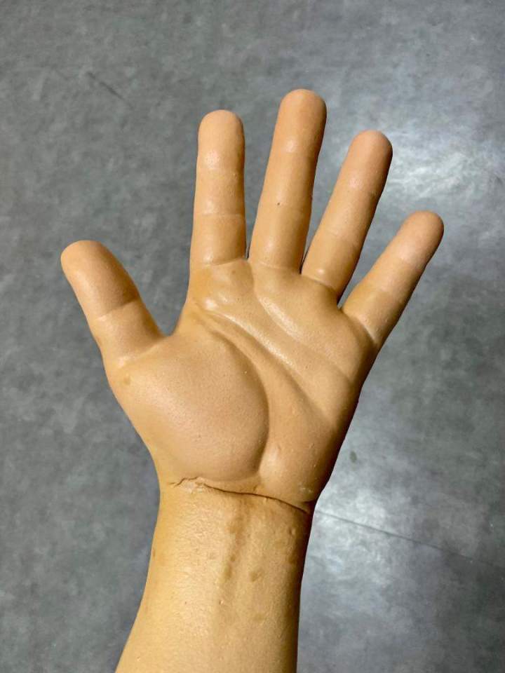 Main animatronique France