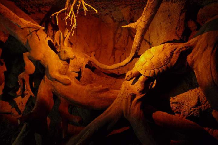 Décoration parc d'attraction France