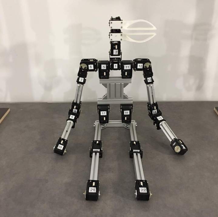 Créations scéniques pour des événements uniques